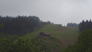 Skiareál Petříkov - Sjezdovka - 9.6.2023 v 13:00